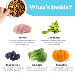 HealthyBud Turkey Meal Bites Freeze Dried Dog Food