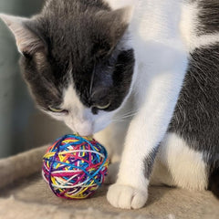 SPOT - Cat Sew Much Fun Yarn Ball 2 pk