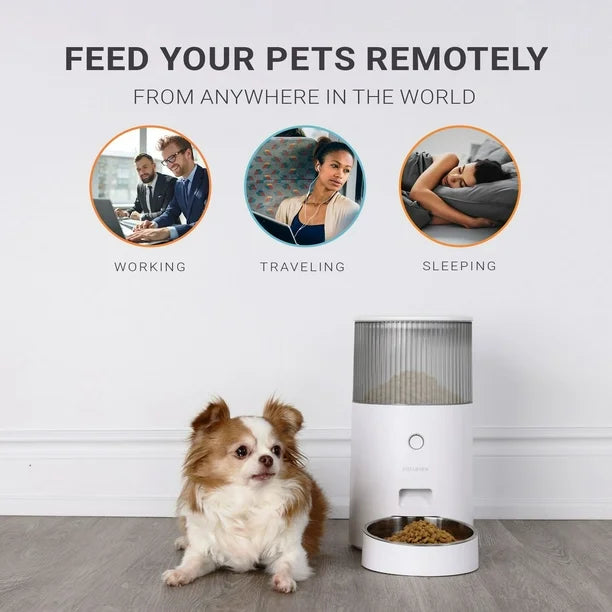 Instachew - Purechew Mini Smart Pet Feeder