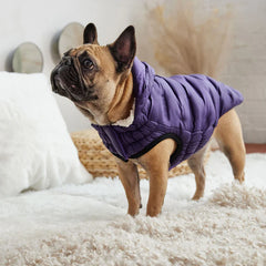 GF Pet - Cloud Dog Parka | Purple