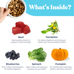 HealthyBud Beef Meal Bites Freeze Dried Raw Dog Food
