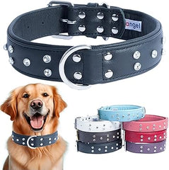 Angel Athens Black Dog Rhinestone Collar