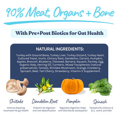 HealthyBud Turkey Meal Patties Freeze Dried Raw Dog Food