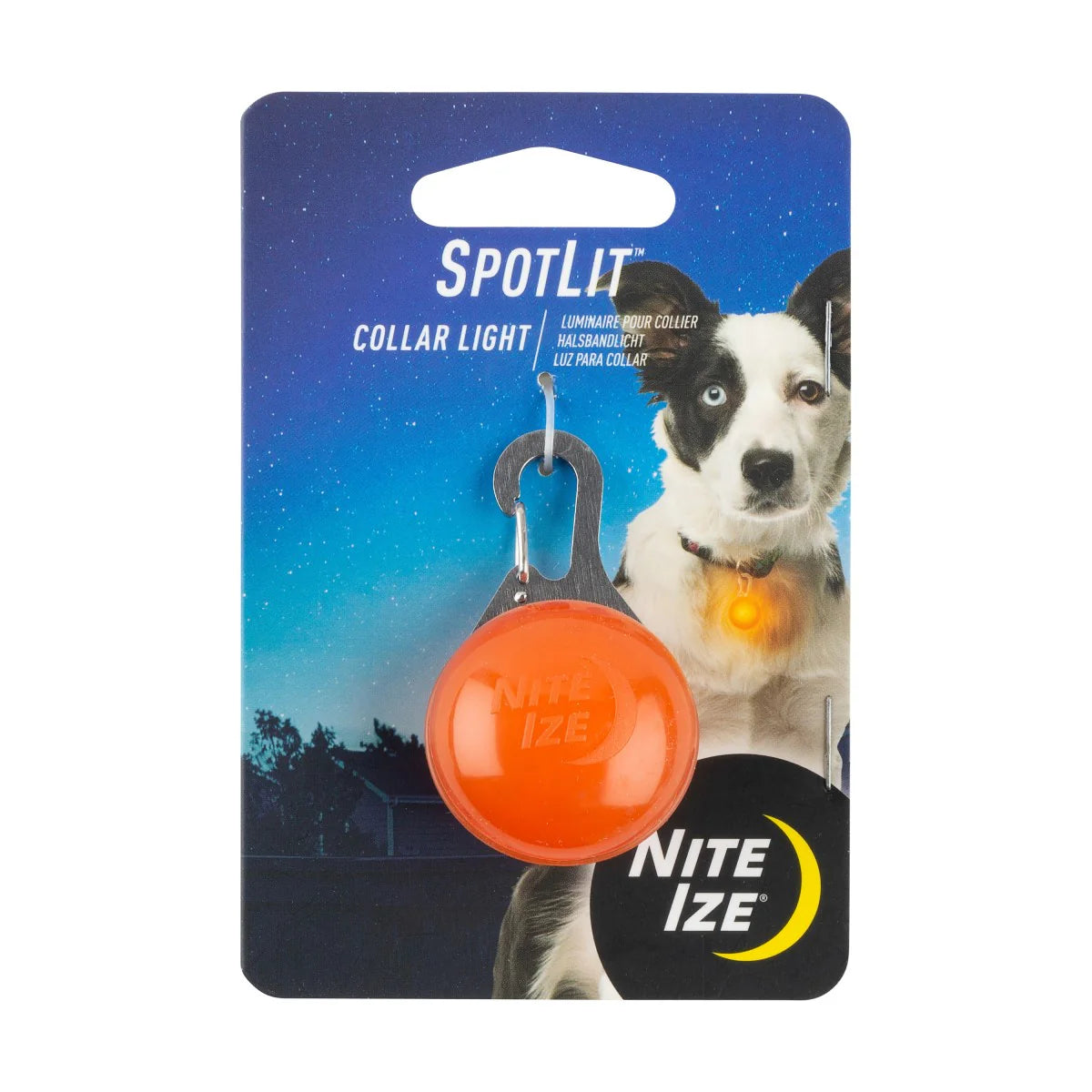 SpotLit LED Flashing Collar Lite - Orange