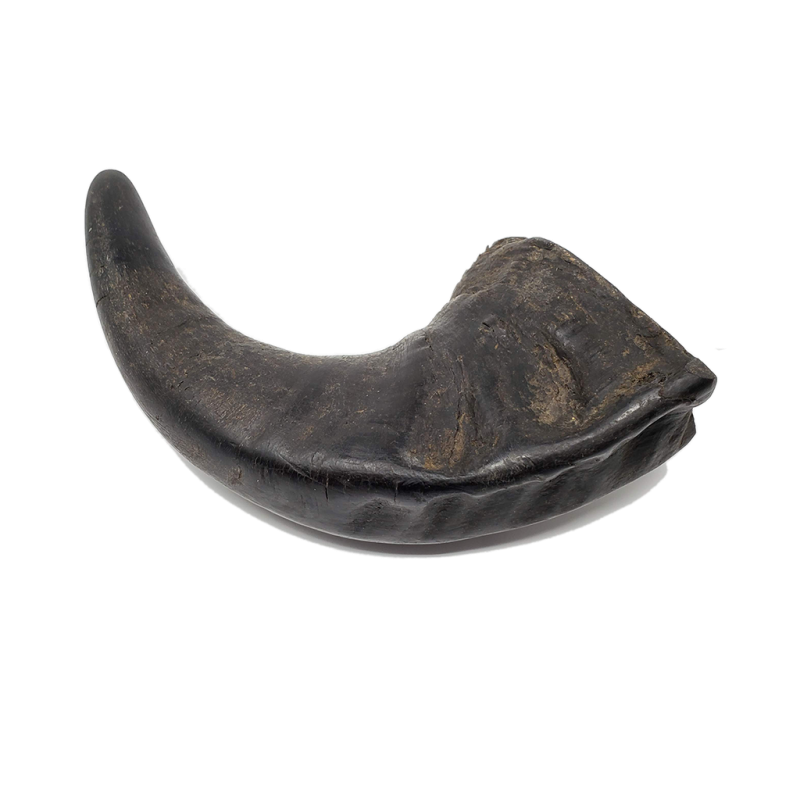 Open Range - Water Buffalo Horn