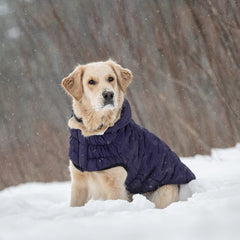 GF Pet - Cloud Dog Parka | Purple