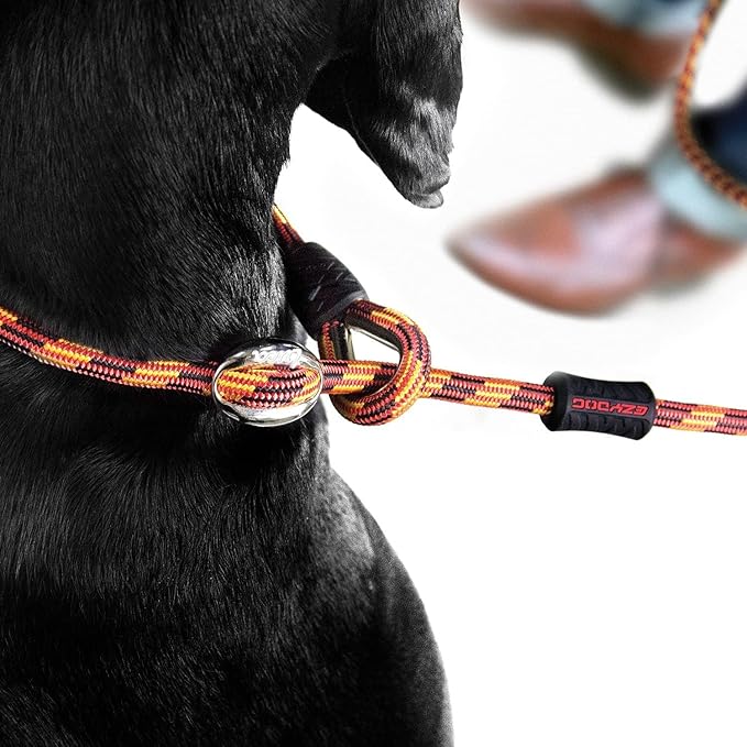 EzyDog Luca All-in-One Slip Collar Climbing Rope Dog Leash Combo