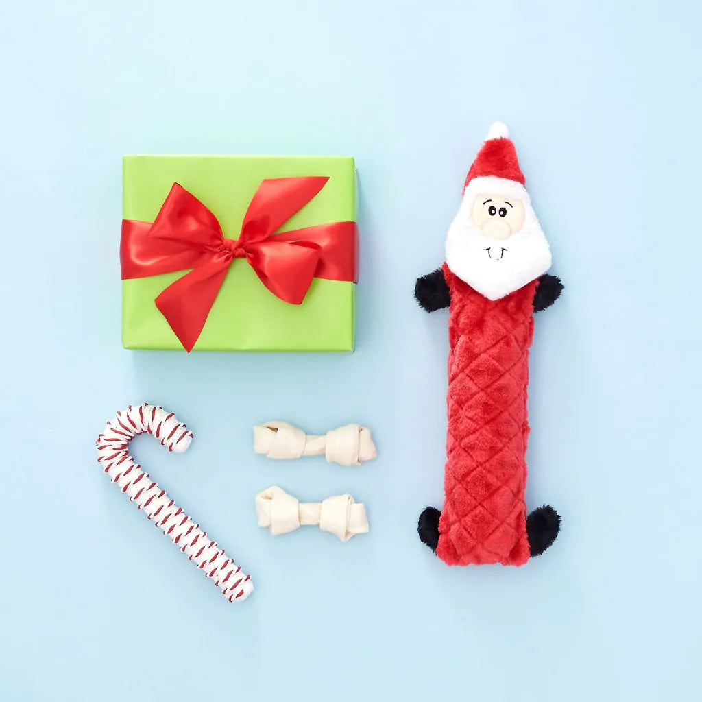 Zippy Paws - Holiday Jigglerz® – Santa