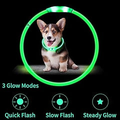 Coastal Pet USB Light-Up Neck Ring 16" Glowing pet Collar for Night Safety, Adjustable LED Dog Collar multiple colors