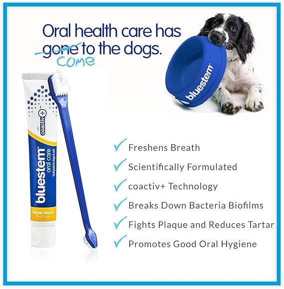 Bluestem - Dog Toothbrush and Toothpaste : Chicken Flavor Tooth Paste with Tooth Brush for Dogs & Cats.