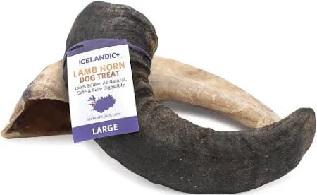 Icelandic+ Lamb Horn Dog Treat - Large