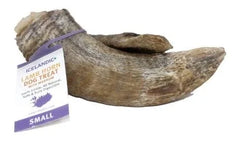 Icelandic+ Lamb Horn Dog Treat - Small