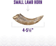 Icelandic+ Lamb Horn Dog Treat - Small