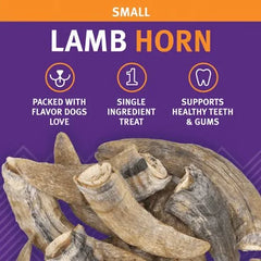 Icelandic+ Lamb Horn Dog Treat - Small