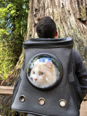 “The Fat Cat” Cat Backpack