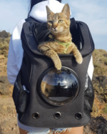 “The Fat Cat” Cat Backpack