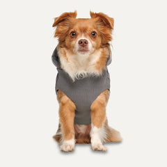 Goo-eez - Hooded Full Body Snowsuit
