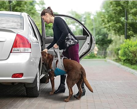 Kurgo Up and About Dog Lifter for Support – Pet Lift Harness Helps Elderly & Disabled Dogs