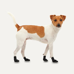 Goo-eez - LITES Dog Boots