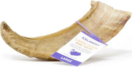 Icelandic+ Lamb Horn Dog Treat - Large