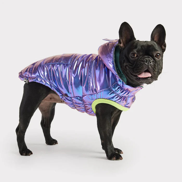 GF Pet - Recycled Dog Parka | Iridescent