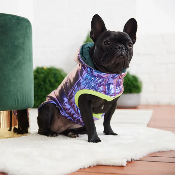 GF Pet - Recycled Dog Parka | Iridescent