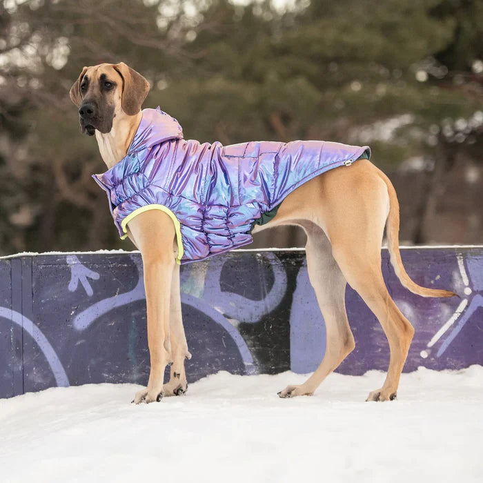 GF Pet - Recycled Dog Parka | Iridescent