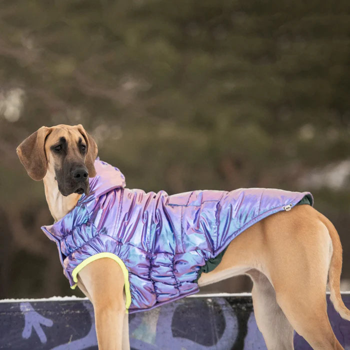 GF Pet - Recycled Dog Parka | Iridescent