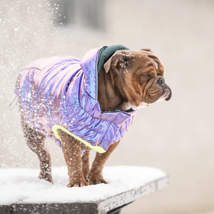 GF Pet - Recycled Dog Parka | Iridescent