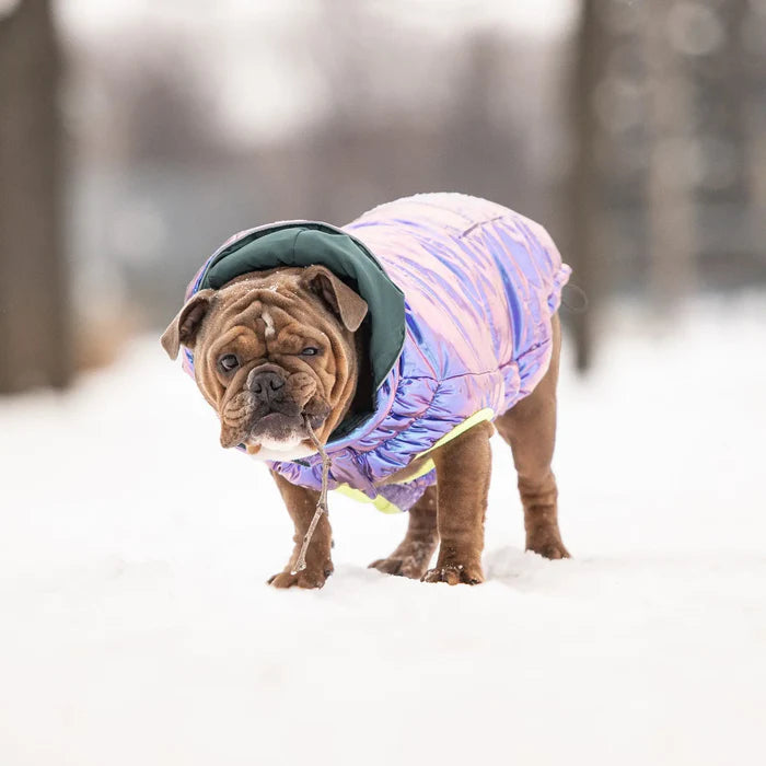 GF Pet - Recycled Dog Parka | Iridescent