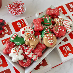 Bosco & Roxy Premium Musical Advent Calendar for Dogs