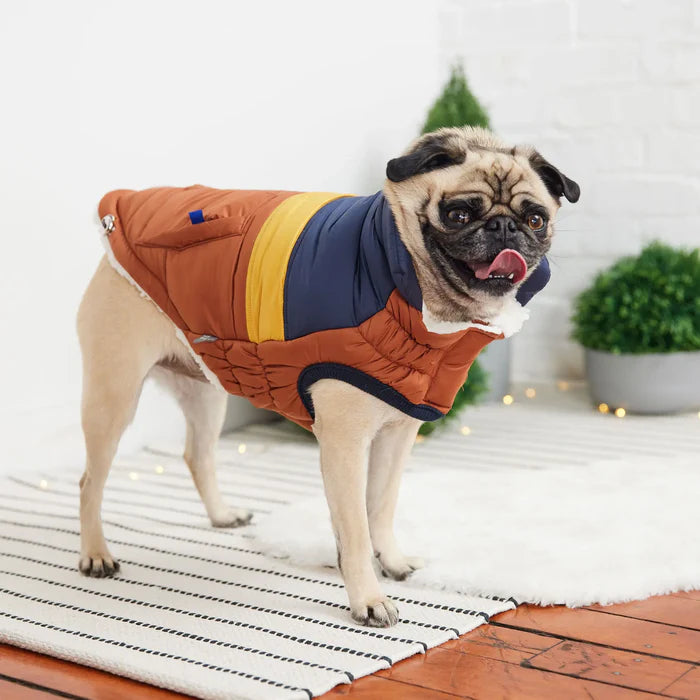 GF Pet - Retro Dog Puffer | Hazel