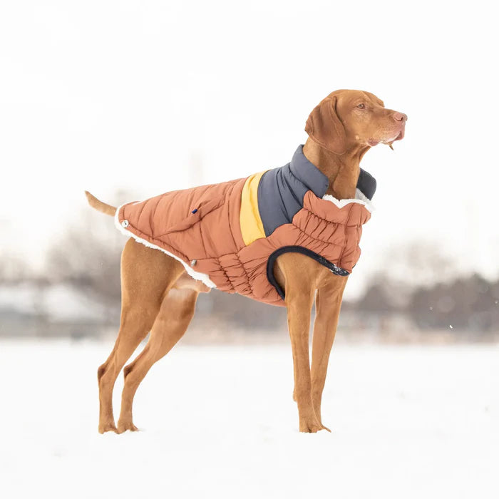 GF Pet - Retro Dog Puffer | Hazel