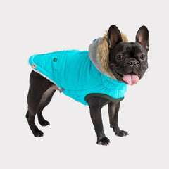 GF Pet - Winter Sailor Dog Parka | Aqua