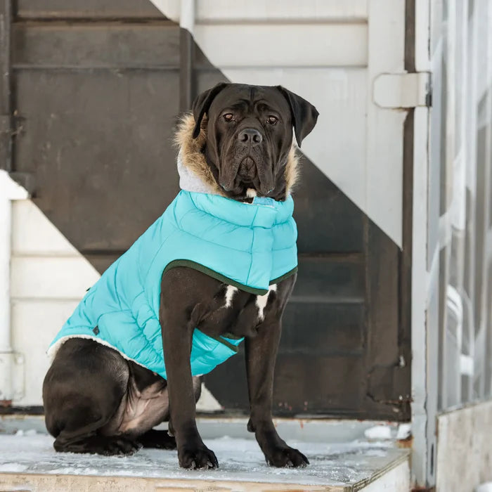 GF Pet - Winter Sailor Dog Parka | Aqua