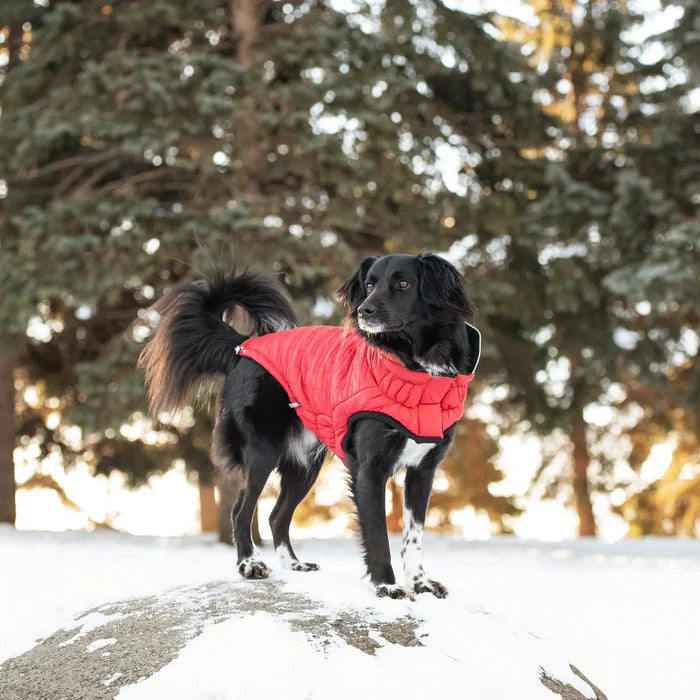 GF Pet - Reversible Chalet Dog Jacket | Red