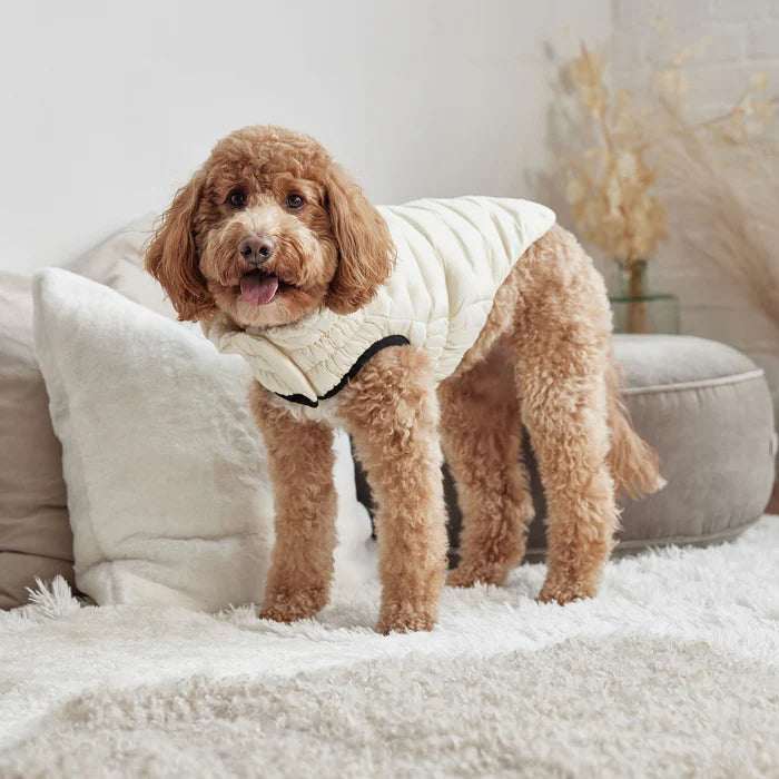 GF Pet - Cloud Dog Parka | Sand