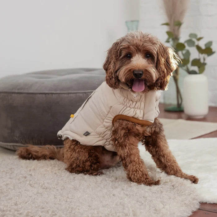 GF Pet - Arctic Dog Parka | Sand