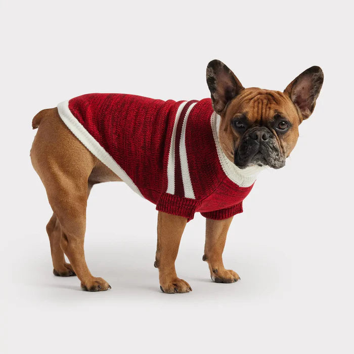 GF Pet - Trekking Dog Sweater | Red