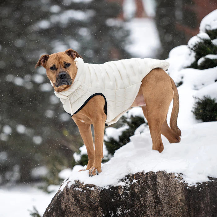 GF Pet - Cloud Dog Parka | Sand