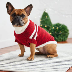 GF Pet - Trekking Dog Sweater | Red