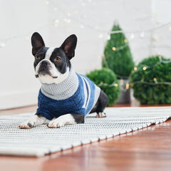 GF Pet - Trekking Dog Sweater | Blue