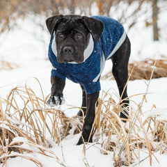 GF Pet - Trekking Dog Sweater | Blue